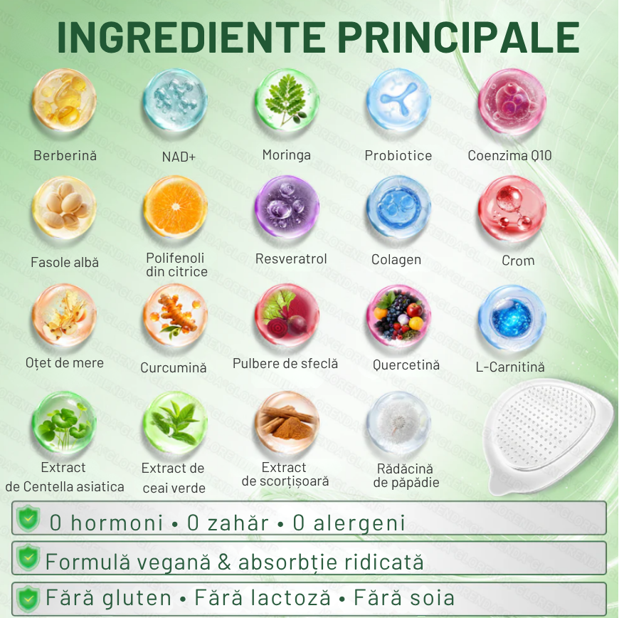 Plasturi berberina