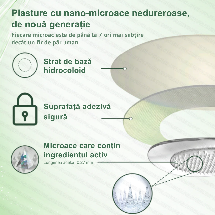 Plasturi berberina