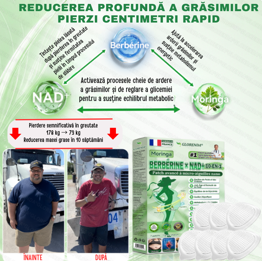 Plasturi berberina