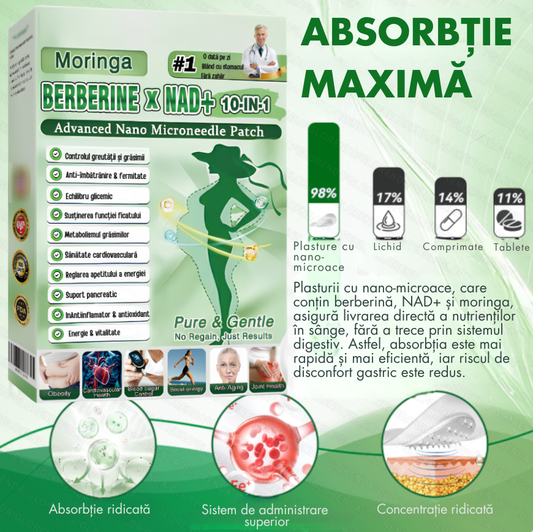 Plasturi berberina