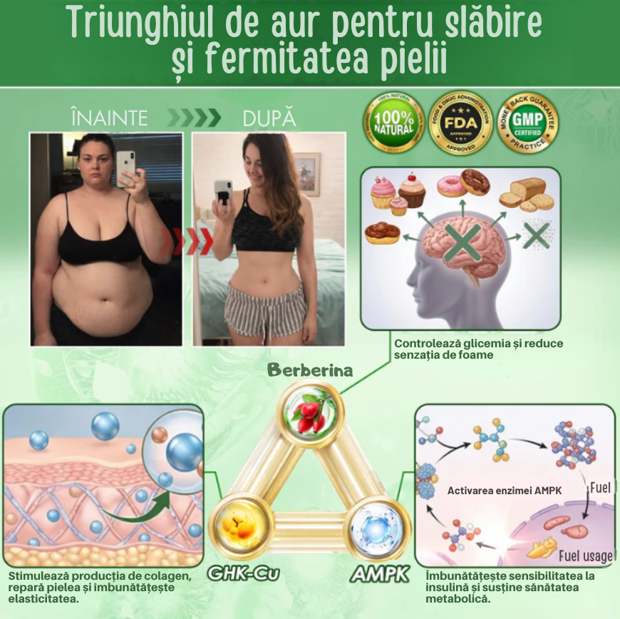 Plasturi berberina